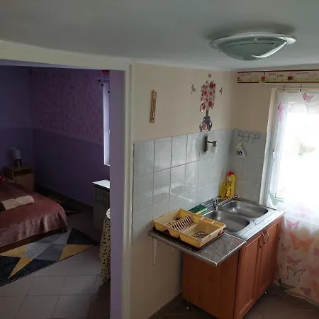 Lepkes Vendeghaz Holiday home