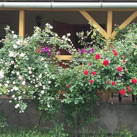Lepkes Vendeghaz Holiday home Poroszlo
